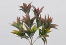 MATA AGAVE 32 CM MARR?N