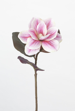 MAGNOLIA 65 CM ROSA