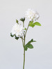 VARA ZINNIA MINI X3 CREMA