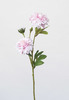 VARA ZINNIA MINI X3 ROSA