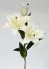 LILIUM TAC/NAT 80 CM