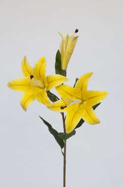 LILIUM TAC/NAT 80 CM AMARILLO