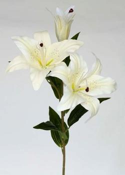 LILIUM TAC/NAT 80 CM BLANCO