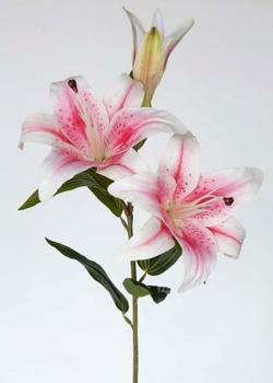 LILIUM TAC/NAT 80 CM ROSA