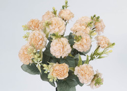 RAMO VIBURNUM SALM?N