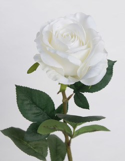 VARA DE ROSA X1 TAC/NAT BLANCO