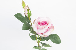 VARA ROSA X2 REAL TOUCH 65 CM ROSA