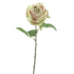 ROSA TE 48 CM