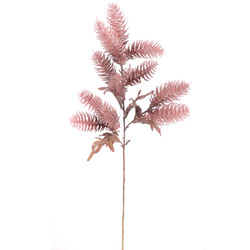 SEDUM REFLEXUM MALVA