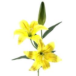 VARA LILIUM TAC/NAT 78 CM AMARILLO