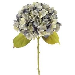 VARA DE HORTENSIA DRY AZUL