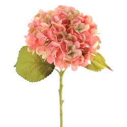 VARA DE HORTENSIA DRY ROSA