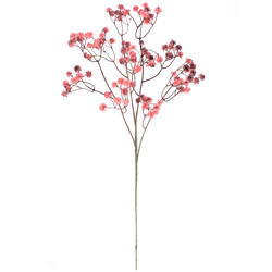 vara de paniculata vintage FUXIA