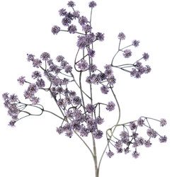 vara de paniculata vintage P?RPURA