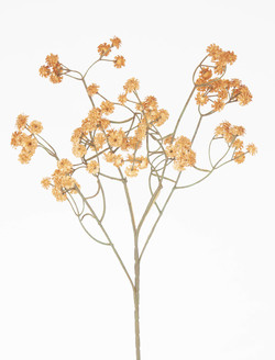 vara de paniculata vintage MOSTAZA