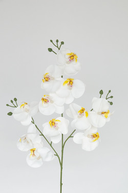 VARA DE ORQUIDEA REAL TOUCH 85 CM