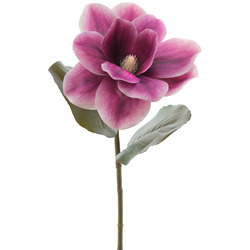 MAGNOLIA 65 CM FUXIA