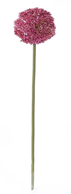 VARA DE ALLIUM  X1 70 CM FUXIA
