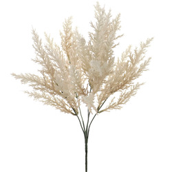 mata astilbe BEIGE
