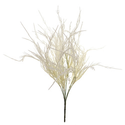 RAMO DIGITARIA SILVESTRE CREMA