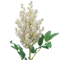 VARA ASTILBE ROSA