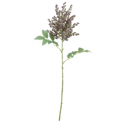 VARA ASTILBE BURDEOS