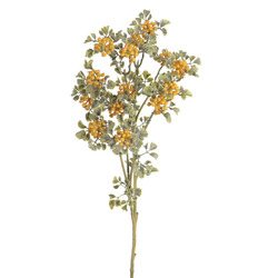 VARA DE VAYA FRUTAL AMARILLO