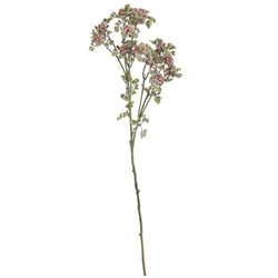 VARA DE VAYA FRUTAL ROSA