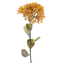 VARA DE SEDUM AMARILLO