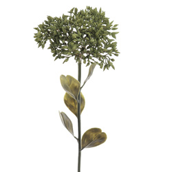 VARA DE SEDUM VERDE