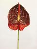 ANTHURIUM 75 CM ROJO