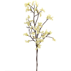 VARA DE CEREZO BEIGE