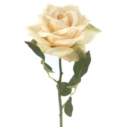 VARA ROSA COLECCI?N HERITAGE BEIGE