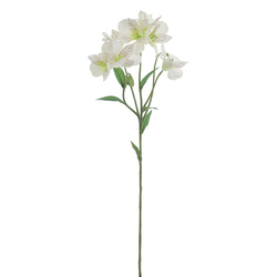 VARA DE ALSTROMERIA