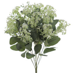 RAMO DE MICRANTHA