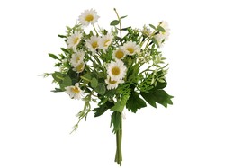 ATADO SILVESTRE MARGARITAS BLANCO