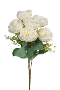 RAMO ROSAS CABBAGE