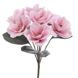 BOUQUET MAGNOLIAS ROSA