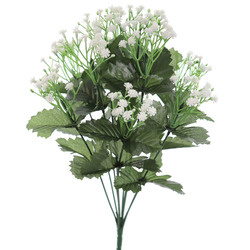 RAMO DE GYPSOPHILA