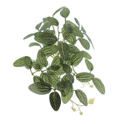 MATA COLGANTE FITONIA MINI 32 CM