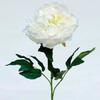 PEONIA 80 CM