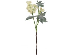 VARA DE RICINUS CREMA