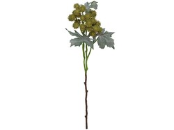 VARA DE RICINUS VERDE