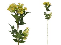 VARA DE MYOSOTIS AMARILLO