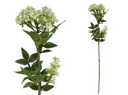 VARA DE MYOSOTIS BLANCO