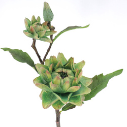 VARA DE CYNARA BIG X3