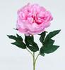 PEON?A 80 CM ROSA