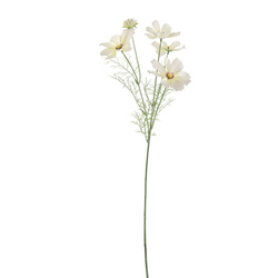 VARA DE COSMOS X4 CREMA