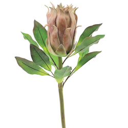 VARA DE PROTEA 70 CM