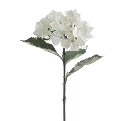 HORTENSIA VINTAGE CREMA
